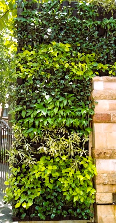 Large green wall frame for a commercial building